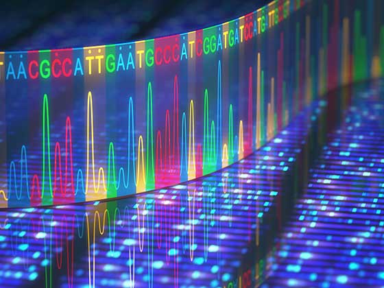 Clustering von DNA-Sequenzen aus Mikrobiom-Sequenzen