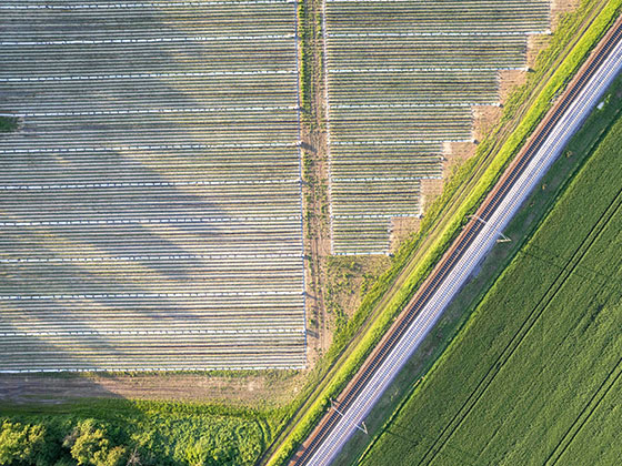 Wie man die Umweltbelastung durch Pflanzenschutzmittel reduziert: Nachhaltige Lösungen für die moderne Landwirtschaft