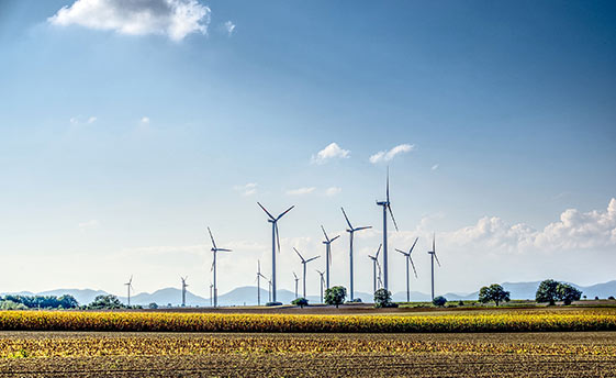 Nachhaltige Landwirtschaft mit KI — Digitales Farming
