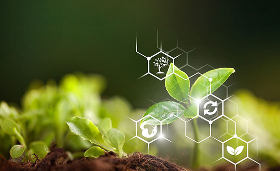 Crop Science mit KI