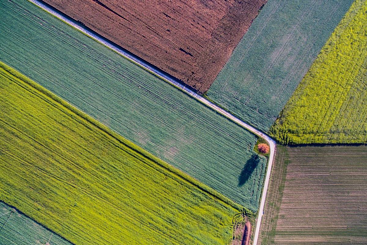 Analyse-Pipeline für Feldversuche: von der Abfrage zum Dashboard